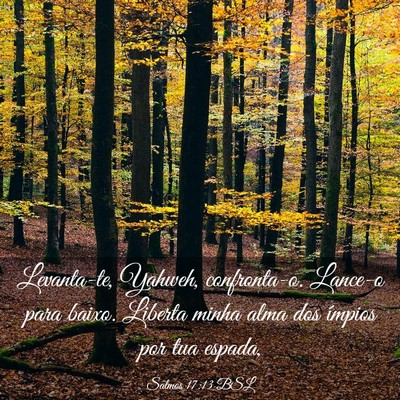 Picture 03 - Salmos 17:13 BSL - Levanta-te, Yahweh, confronta-o. Lance-o para - Bible Verse Picture
