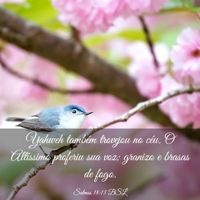 Picture 03 - Salmos 18:13 BSL - Yahweh também trovejou no céu. O Altíssimo - Bible Verse Picture