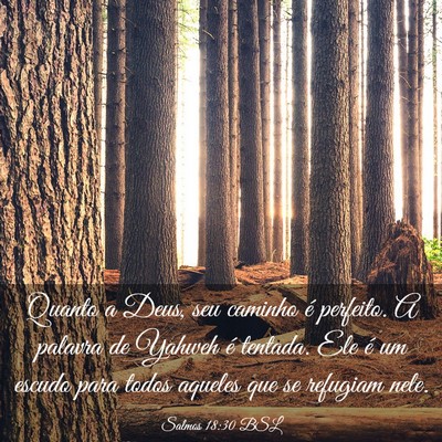 Picture 03 - Salmos 18:30 BSL - Quanto a Deus, seu caminho é perfeito. A palavra - Bible Verse Picture
