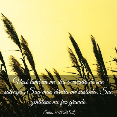 Picture 03 - Salmos 18:35 BSL - Você também me deu o escudo de sua salvação. - Bible Verse Picture