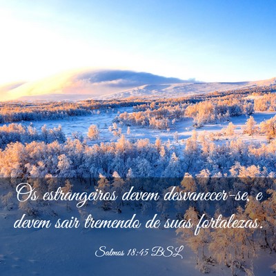 Picture 03 - Salmos 18:45 BSL - Os estrangeiros devem desvanecer-se, e devem sair - Bible Verse Picture