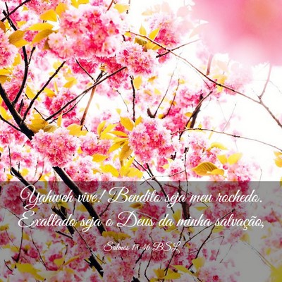 Picture 03 - Salmos 18:46 BSL - Yahweh vive! Bendito seja meu rochedo. Exaltado - Bible Verse Picture