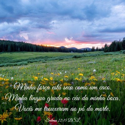 Picture 03 - Salmos 22:15 BSL - Minha força está seca como um caco. Minha - Bible Verse Picture
