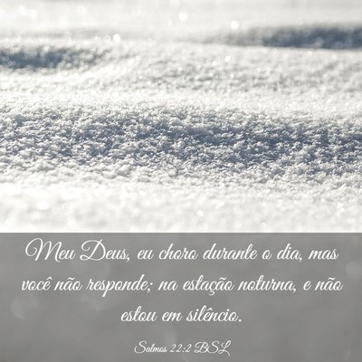Picture 03 - Salmos 22:2 BSL - Meu Deus, eu choro durante o dia, mas você não - Bible Verse Picture