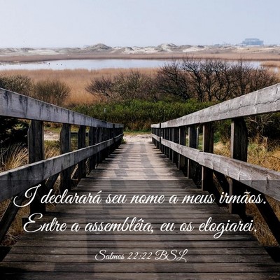 Picture 03 - Salmos 22:22 BSL - I declarará seu nome a meus irmãos. Entre a - Bible Verse Picture