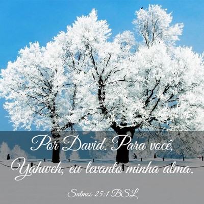 Picture 03 - Salmos 25:1 BSL - Por David. Para você, Yahweh, eu levanto minha - Bible Verse Picture
