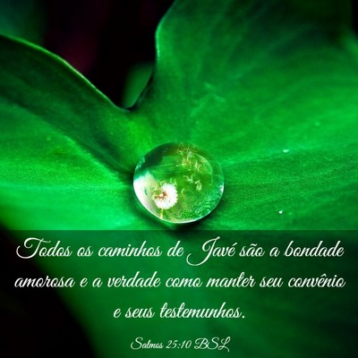 Picture 03 - Salmos 25:10 BSL - Todos os caminhos de Javé são a bondade amorosa - Bible Verse Picture