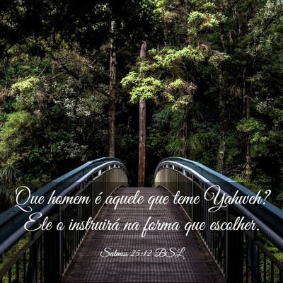 Picture 03 - Salmos 25:12 BSL - Que homem é aquele que teme Yahweh? Ele o - Bible Verse Picture