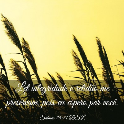 Picture 03 - Salmos 25:21 BSL - Let integridade e retidão me preservam, pois eu - Bible Verse Picture