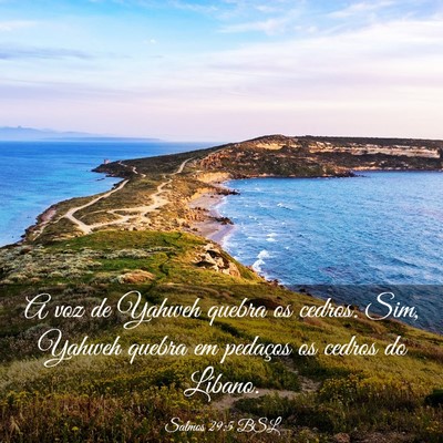 Picture 03 - Salmos 29:5 BSL - A voz de Yahweh quebra os cedros. Sim, Yahweh - Bible Verse Picture