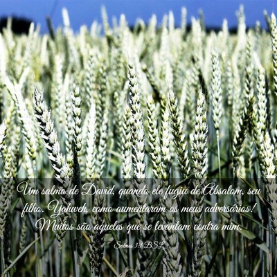 Picture 03 - Salmos 3:1 BSL - Um salmo de David, quando ele fugiu de Absalom, - Bible Verse Picture