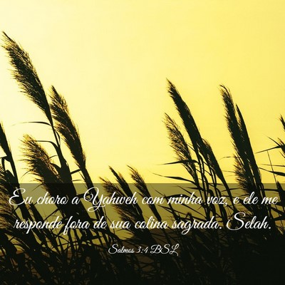 Picture 03 - Salmos 3:4 BSL - Eu choro a Yahweh com minha voz, e ele me - Bible Verse Picture
