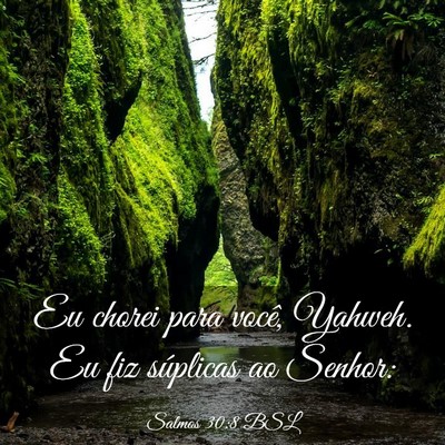 Picture 03 - Salmos 30:8 BSL - Eu chorei para você, Yahweh. Eu fiz súplicas ao - Bible Verse Picture