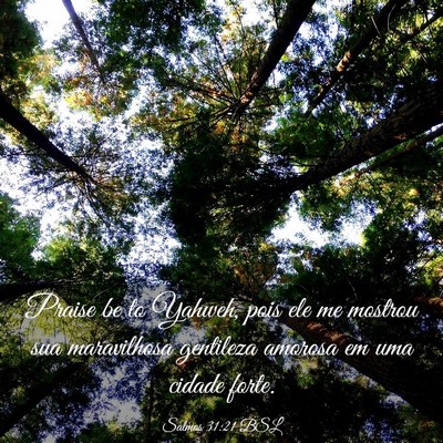 Picture 03 - Salmos 31:21 BSL - Praise be to Yahweh, pois ele me mostrou sua - Bible Verse Picture