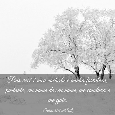 Picture 03 - Salmos 31:3 BSL - Pois você é meu rochedo e minha fortaleza, - Bible Verse Picture
