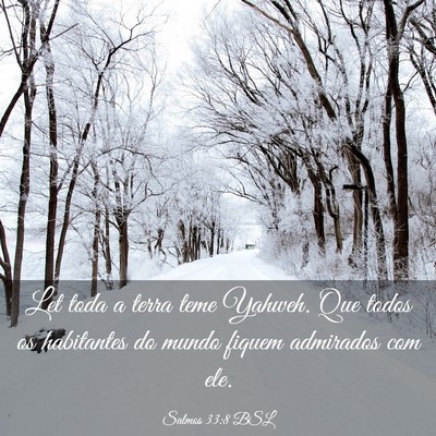 Picture 03 - Salmos 33:8 BSL - Let toda a terra teme Yahweh. Que todos os - Bible Verse Picture