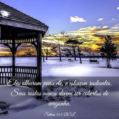 Picture 03 - Salmos 34:5 BSL - Eles olharam para ele, e estavam radiantes. Seus - Bible Verse Picture
