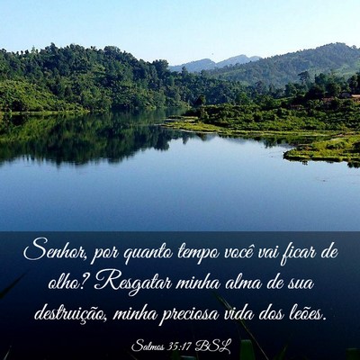 Picture 03 - Salmos 35:17 BSL - Senhor, por quanto tempo você vai ficar de olho? - Bible Verse Picture