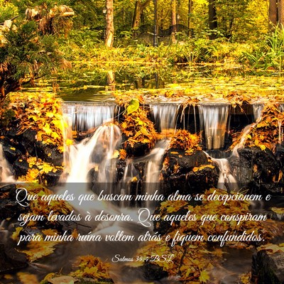 Picture 03 - Salmos 35:4 BSL - Que aqueles que buscam minha alma se decepcionem - Bible Verse Picture