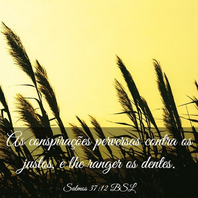 Picture 03 - Salmos 37:12 BSL - As conspirações perversas contra os justos, e - Bible Verse Picture