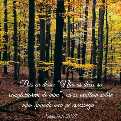 Picture 03 - Salmos 38:16 BSL - Pois eu disse: “Não os deixe se vangloriarem - Bible Verse Picture