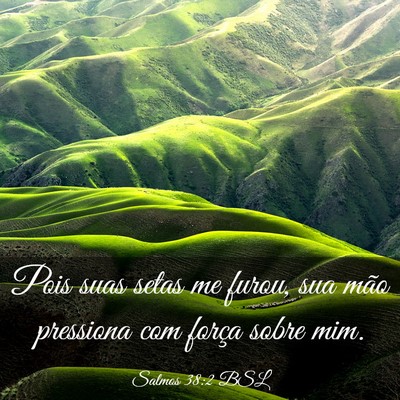 Picture 03 - Salmos 38:2 BSL - Pois suas setas me furou, sua mão pressiona com - Bible Verse Picture
