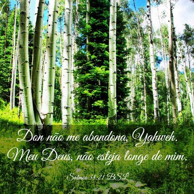 Picture 03 - Salmos 38:21 BSL - Don não me abandona, Yahweh. Meu Deus, não - Bible Verse Picture