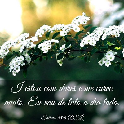 Picture 03 - Salmos 38:6 BSL - I estou com dores e me curvo muito. Eu vou de - Bible Verse Picture