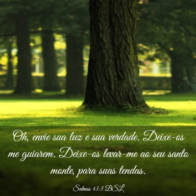 Picture 03 - Salmos 43:3 BSL - Oh, envie sua luz e sua verdade. Deixe-os me - Bible Verse Picture