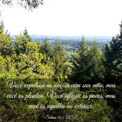Picture 03 - Salmos 44:2 BSL - Você expulsou as nações com sua mão, mas - Bible Verse Picture