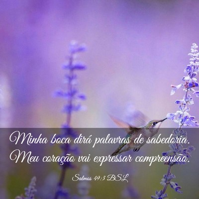 Picture 03 - Salmos 49:3 BSL - Minha boca dirá palavras de sabedoria. Meu - Bible Verse Picture