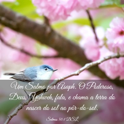 Picture 03 - Salmos 50:1 BSL - Um Salmo por Asaph. O Poderoso, Deus, Yahweh, - Bible Verse Picture