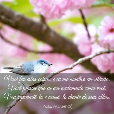Picture 03 - Salmos 50:21 BSL - Você fez estas coisas, e eu me mantive em - Bible Verse Picture
