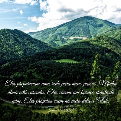 Picture 03 - Salmos 57:6 BSL - Eles prepararam uma rede para meus passos. Minha - Bible Verse Picture