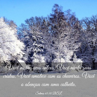 Picture 03 - Salmos 65:10 BSL - Você molha seus sulcos. Você nivela suas - Bible Verse Picture