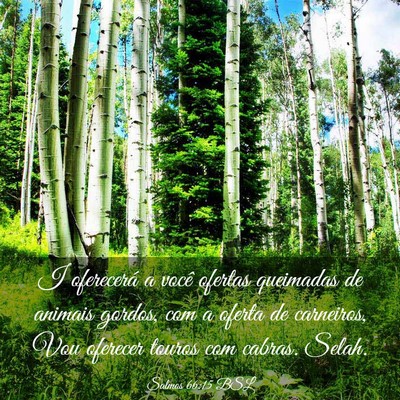 Picture 03 - Salmos 66:15 BSL - I oferecerá a você ofertas queimadas de animais - Bible Verse Picture