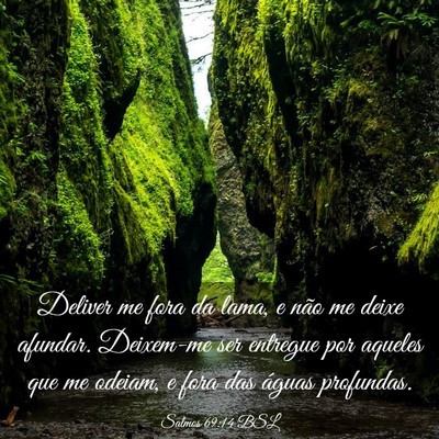 Picture 03 - Salmos 69:14 BSL - Deliver me fora da lama, e não me deixe afundar. - Bible Verse Picture
