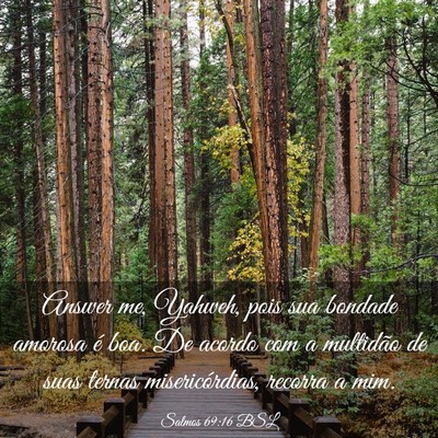 Picture 03 - Salmos 69:16 BSL - Answer me, Yahweh, pois sua bondade amorosa é - Bible Verse Picture