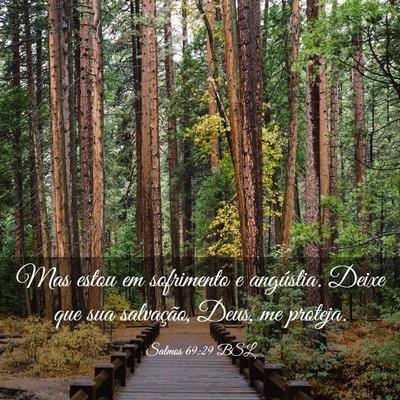Picture 03 - Salmos 69:29 BSL - Mas estou em sofrimento e angústia. Deixe que - Bible Verse Picture