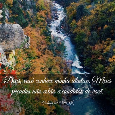 Picture 03 - Salmos 69:5 BSL - Deus, você conhece minha idiotice. Meus pecados - Bible Verse Picture