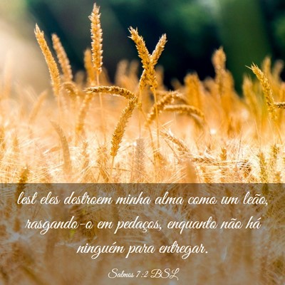 Picture 03 - Salmos 7:2 BSL - lest eles destroem minha alma como um leão, - Bible Verse Picture
