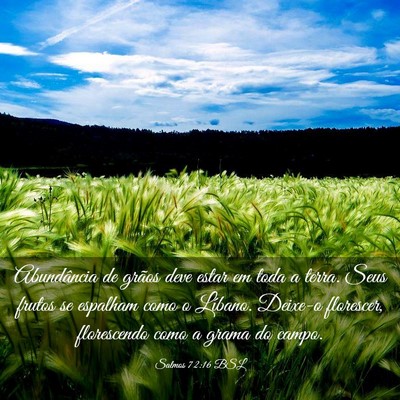 Picture 03 - Salmos 72:16 BSL - Abundância de grãos deve estar em toda a terra. - Bible Verse Picture