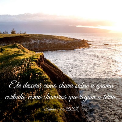 Picture 03 - Salmos 72:6 BSL - Ele descerá como chuva sobre a grama cortada, - Bible Verse Picture