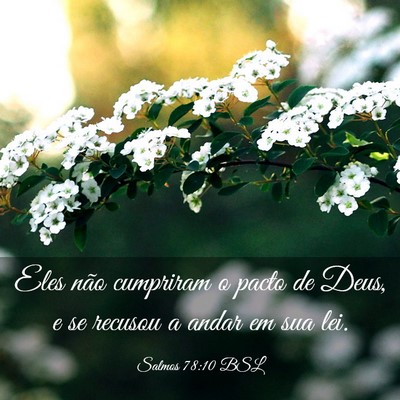 Picture 03 - Salmos 78:10 BSL - Eles não cumpriram o pacto de Deus, e se recusou - Bible Verse Picture