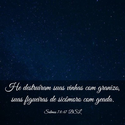 Picture 03 - Salmos 78:47 BSL - He destruíram suas vinhas com granizo, suas - Bible Verse Picture