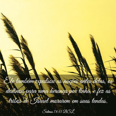 Picture 03 - Salmos 78:55 BSL - Ele também expulsou as nações antes delas, os - Bible Verse Picture