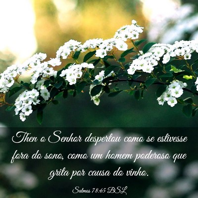 Picture 03 - Salmos 78:65 BSL - Then o Senhor despertou como se estivesse fora do - Bible Verse Picture