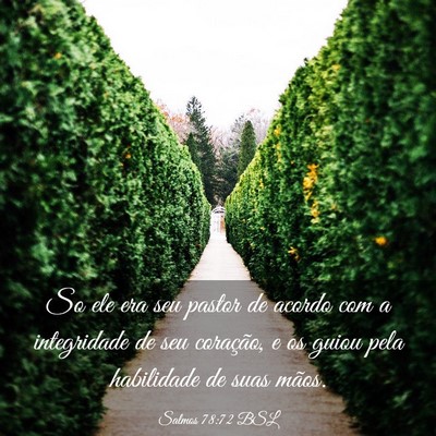 Picture 03 - Salmos 78:72 BSL - So ele era seu pastor de acordo com a integridade - Bible Verse Picture