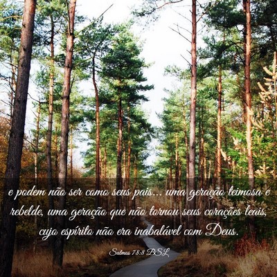 Picture 03 - Salmos 78:8 BSL - e podem não ser como seus pais... uma geração - Bible Verse Picture