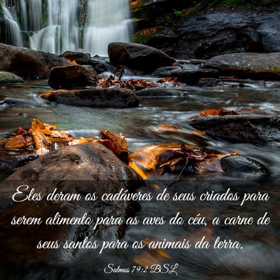 Picture 03 - Salmos 79:2 BSL - Eles deram os cadáveres de seus criados para - Bible Verse Picture